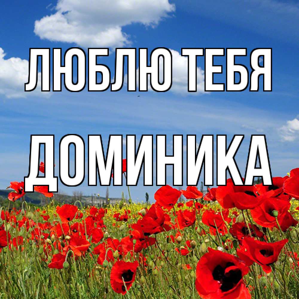 Открытка на каждый день с именем, Доминика Люблю тебя международный женский день 1 Прикольная открытка с пожеланием онлайн скачать бесплатно 