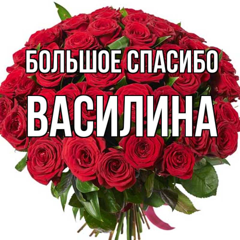 Картинка Большое спасибо, Василина