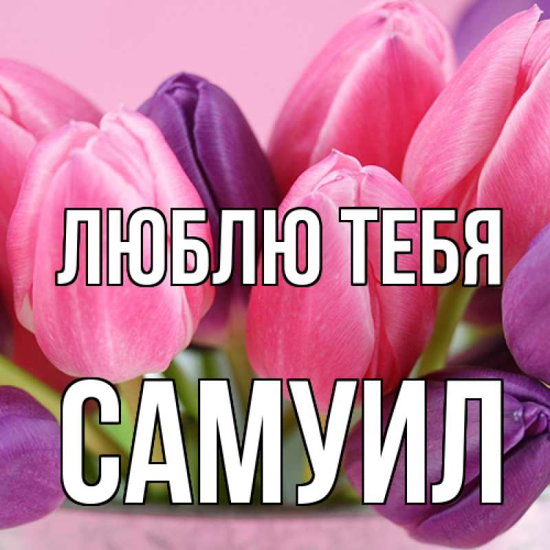 Картинка Люблю тебя, Самуил