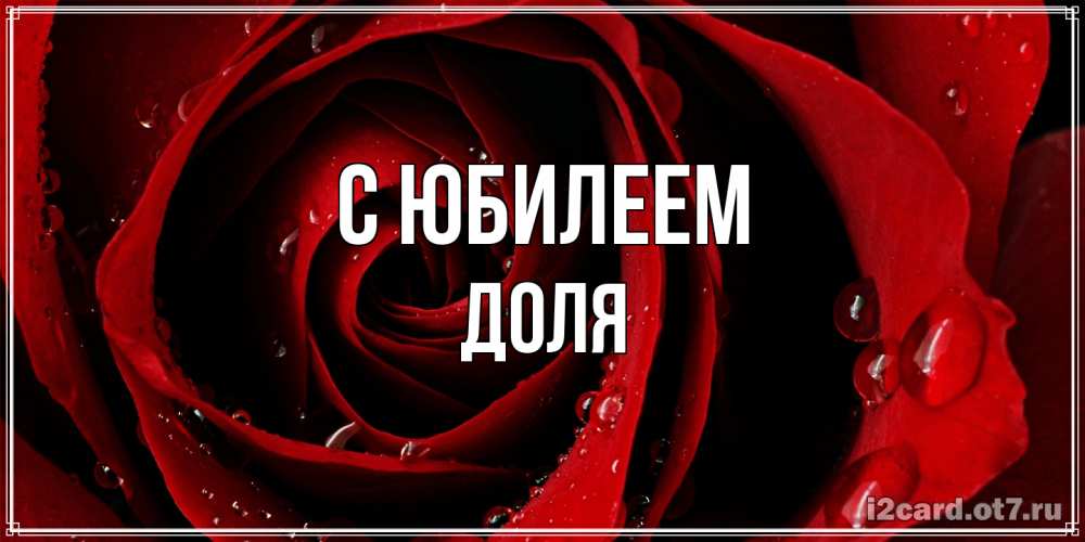 Открытка на каждый день с именем, Доля C юбилеем крупная бордовая роза Прикольная открытка с пожеланием онлайн скачать бесплатно 