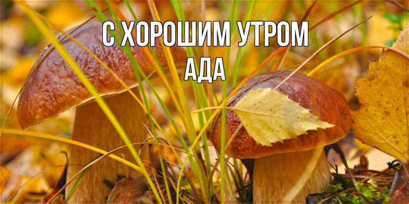Картинка С хорошим утром, Ада