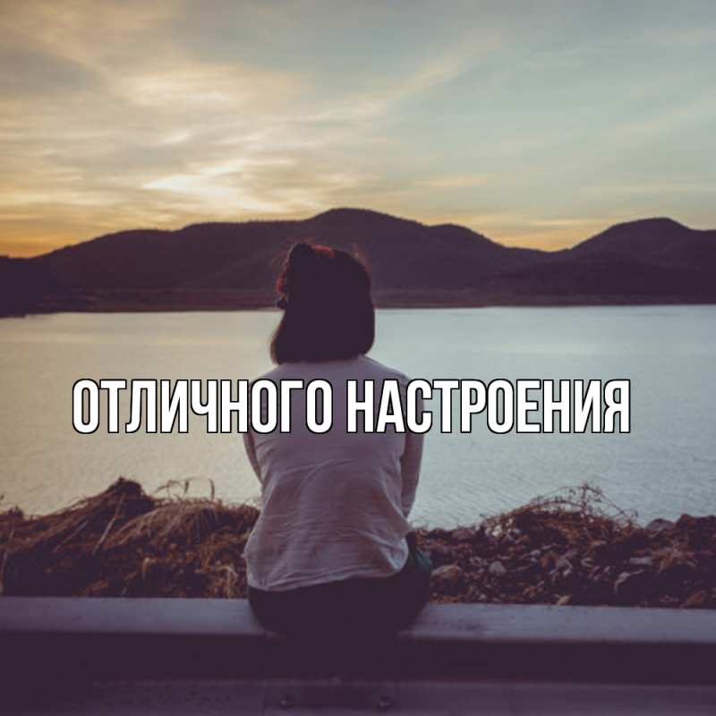 Картинка Скучашки, Песподобная