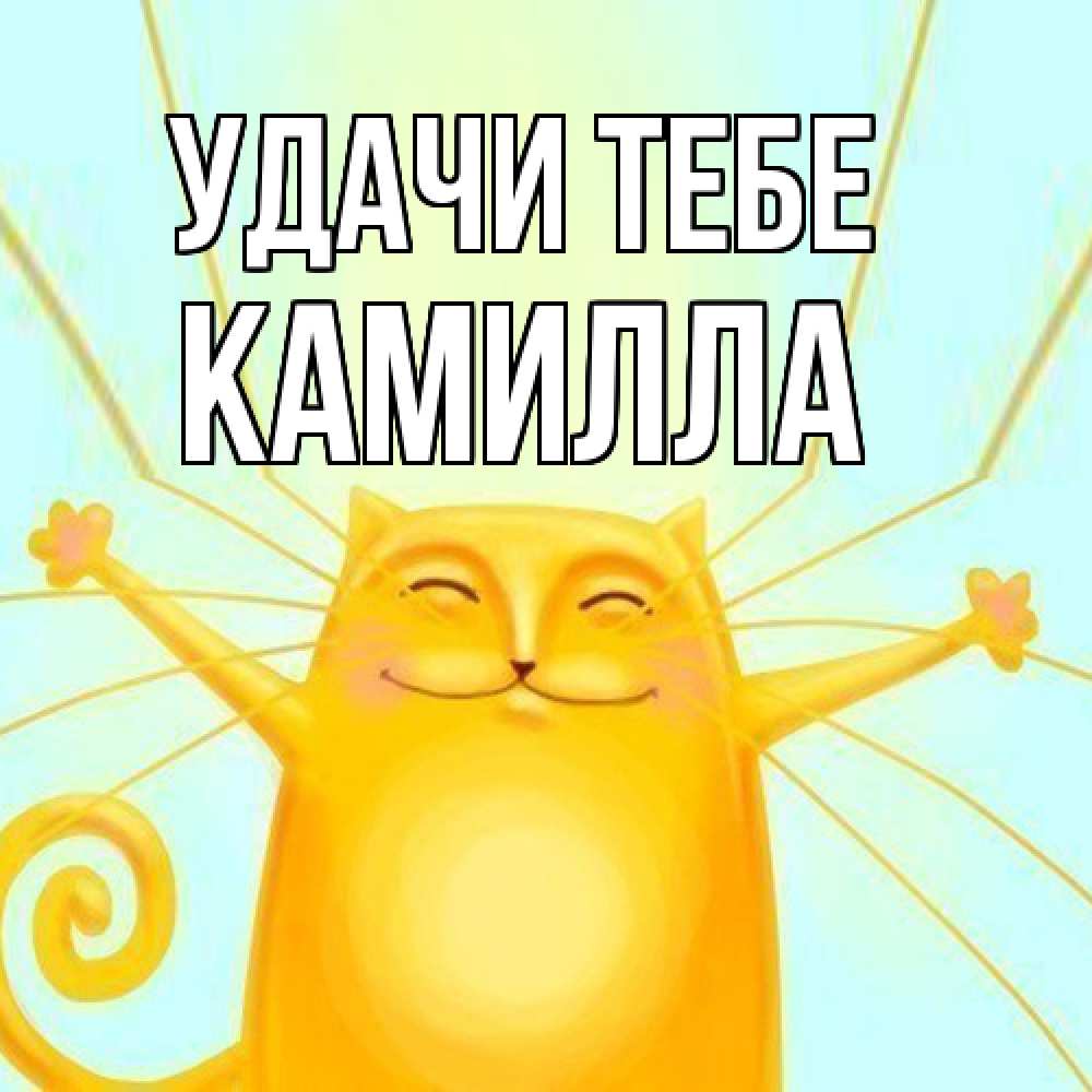 Открытка на каждый день с именем, Камилла Удачи тебе пусть придет к тебе удача Прикольная открытка с пожеланием онлайн скачать бесплатно 