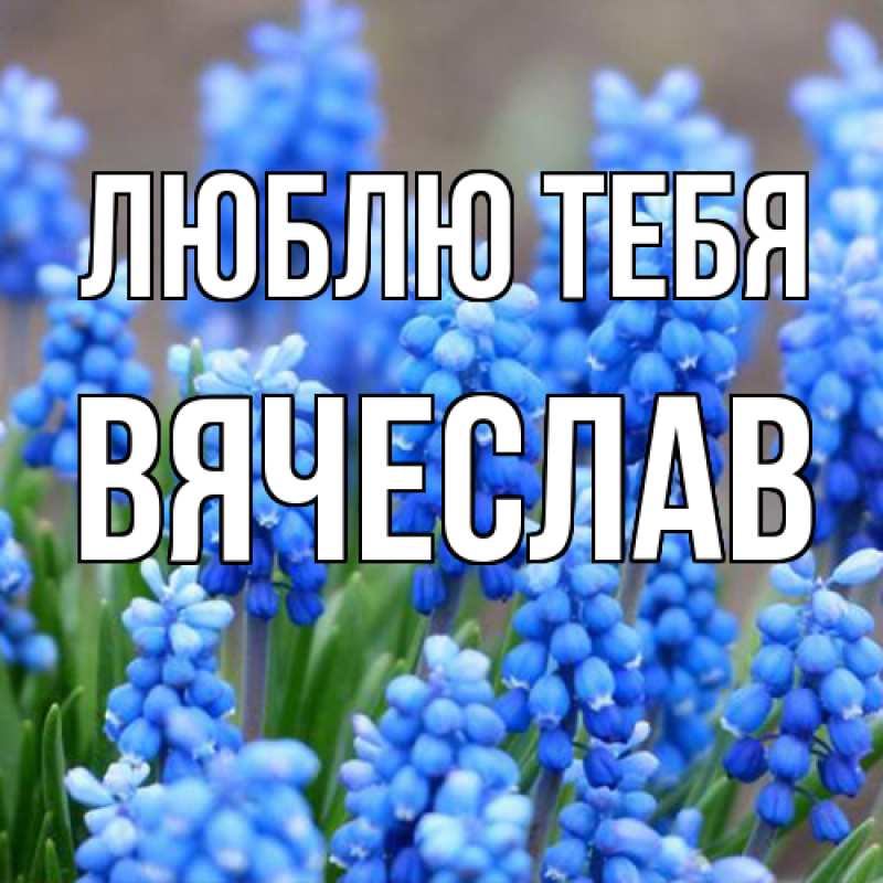 Открытка с именем, Вячеслав, Люблю тебя