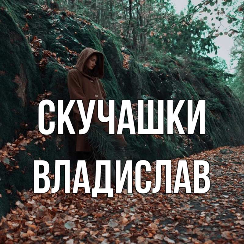 Картинка Скучашки, Владислав