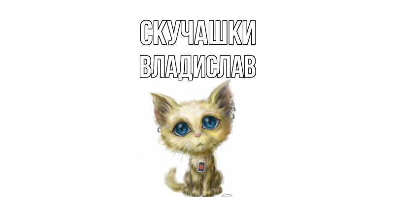 Картинка Скучашки, Владислав