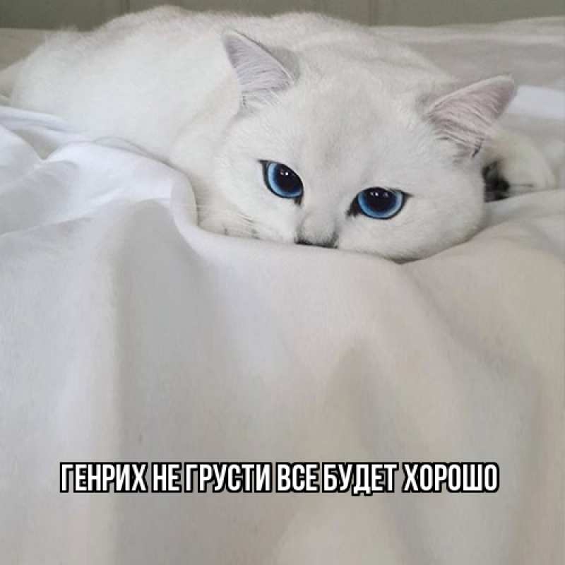 Картинка Не грусти, все будет хорошо, Генрих