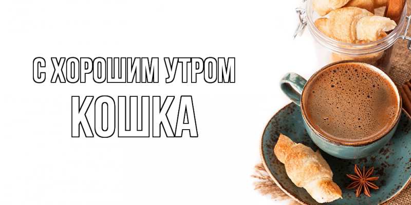 Картинка С хорошим утром, Кошка