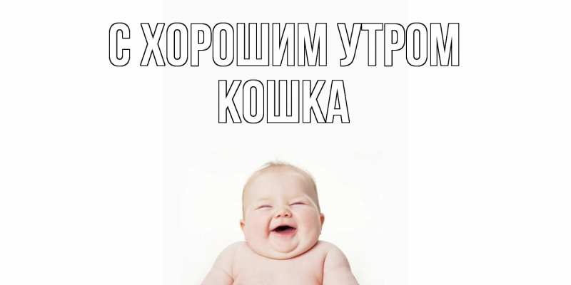 Картинка С хорошим утром, Кошка