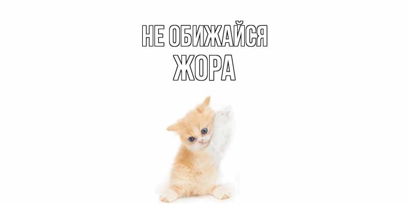 Открытка с именем, Жора, Не обижайся