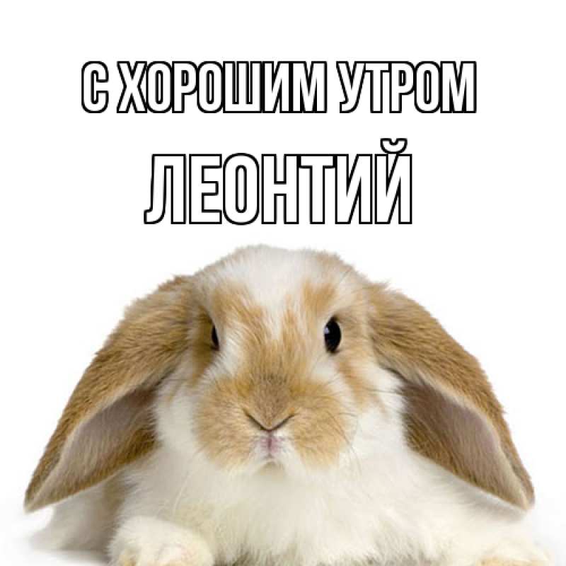 Картинка С хорошим утром, Леонтий