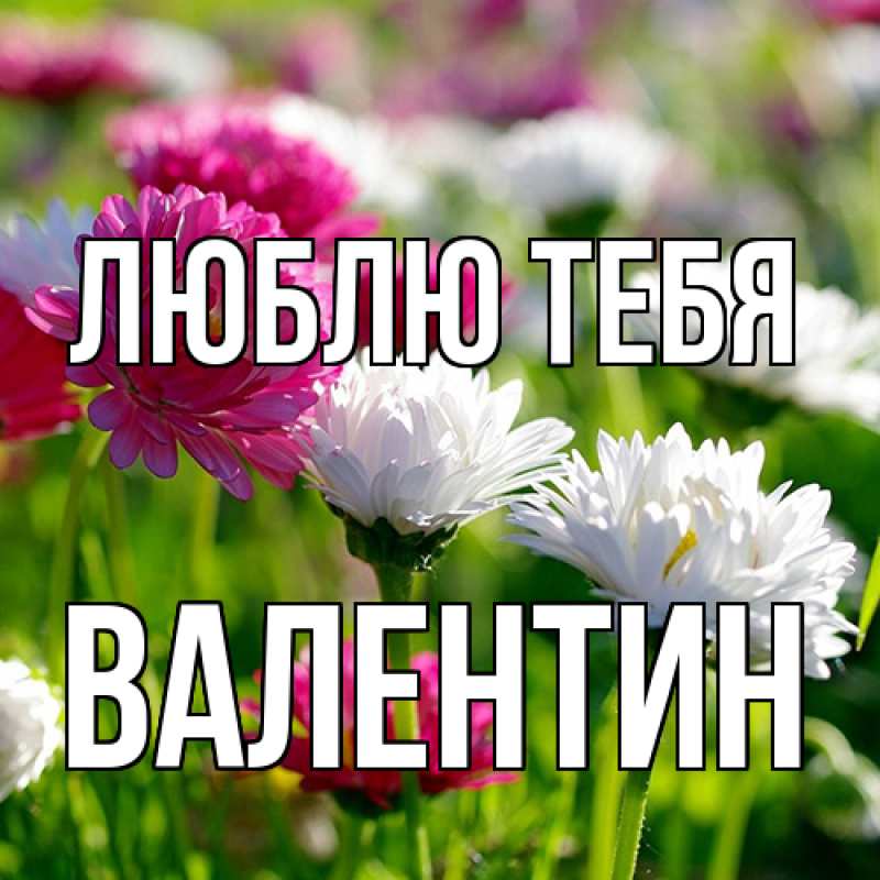 Картинка Люблю тебя, Валентин