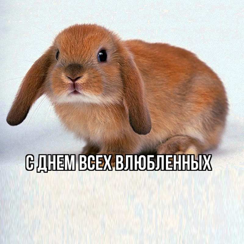 Картинка Я жду тебя, Моя женщина