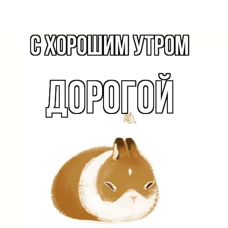 Картинка С хорошим утром, Дорогой