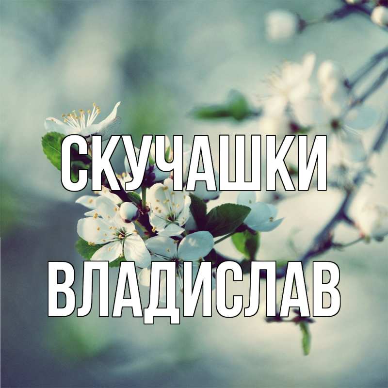 Картинка Скучашки, Владислав