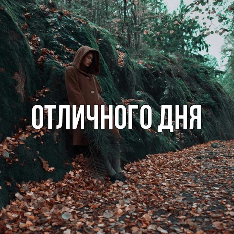 Картинка Скучашки, Дима