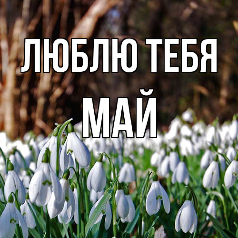 Картинка Люблю тебя, Май