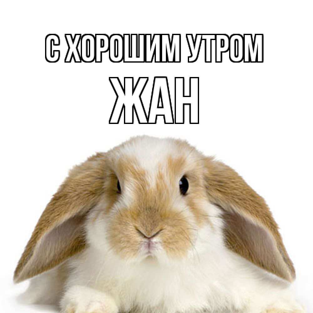 Открытка на каждый день с именем, Жан С хорошим утром прикольные открытки на каждый день Прикольная открытка с пожеланием онлайн скачать бесплатно 