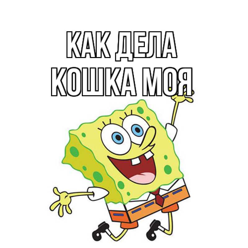 Картинка Как дела, Кошка моя