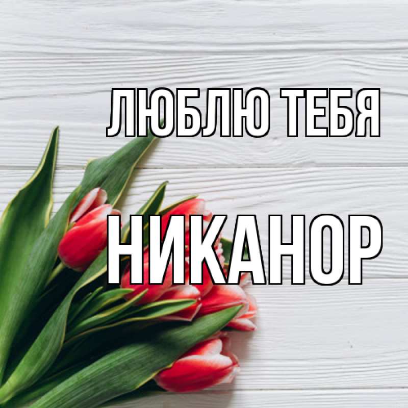 Картинка Люблю тебя, Никанор