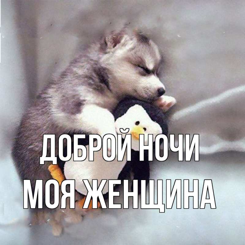 Картинка Доброй ночи, Моя женщина