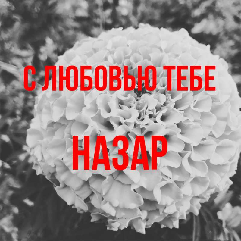 Картинка С любовью тебе, Назар
