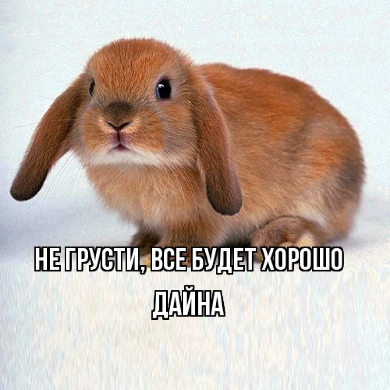 Картинка Не грусти, все будет хорошо, Дайна