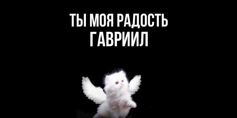 Картинка Ты моя радость, Гавриил