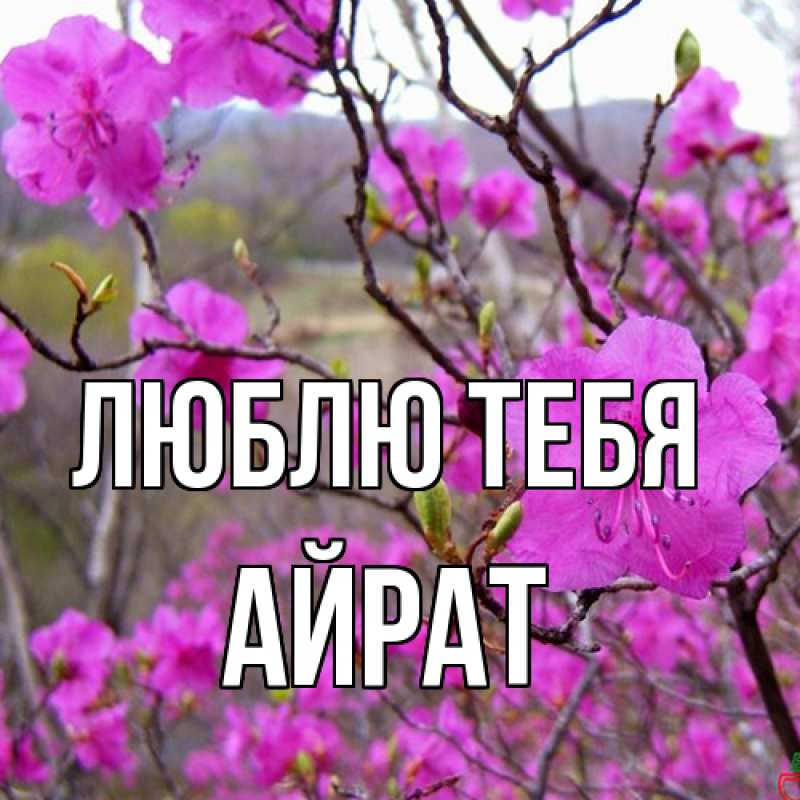 Открытка с именем, Айрат, Люблю тебя