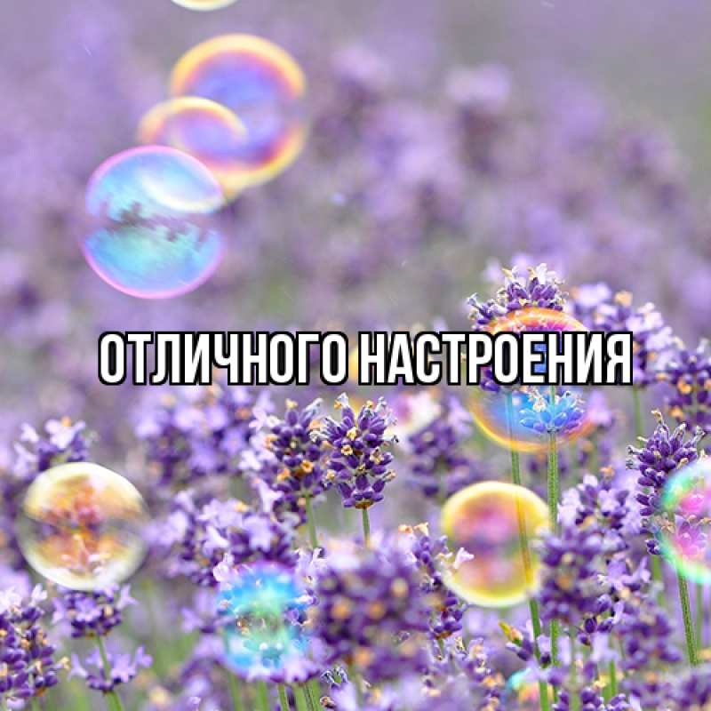 Картинка Люблю тебя, Габриэлла