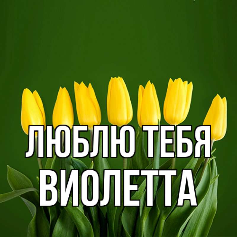 Картинка Люблю тебя, Виолетта