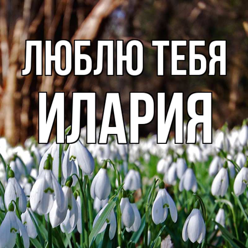 Открытка с именем, Илария, Люблю тебя
