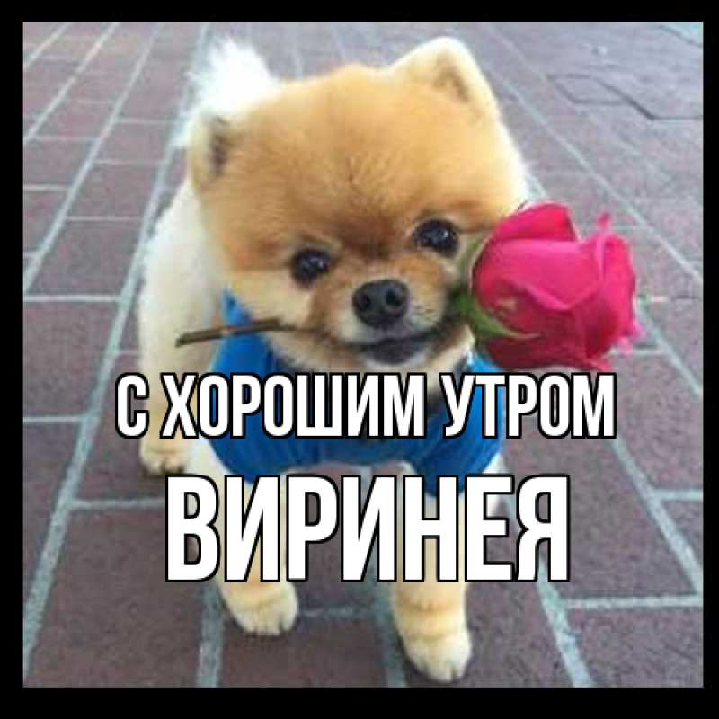 Картинка С хорошим утром, Виринея