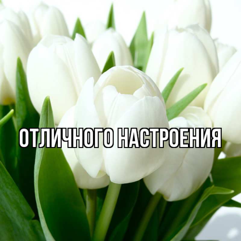 Картинка Люблю тебя, Габриэлла