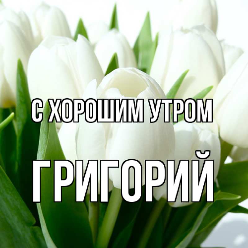 Картинка С хорошим утром, Григорий