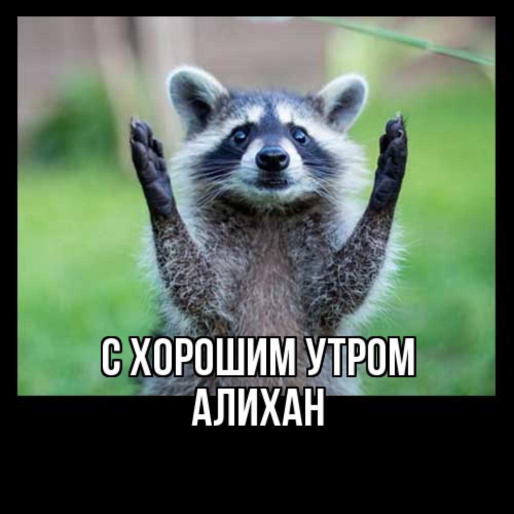 Открытка на каждый день с именем, Алихан С хорошим утром хорошее настроение утречком Прикольная открытка с пожеланием онлайн скачать бесплатно 
