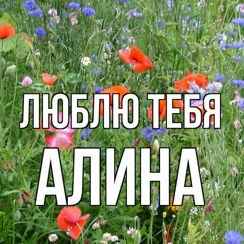 Картинка Люблю тебя, Алина
