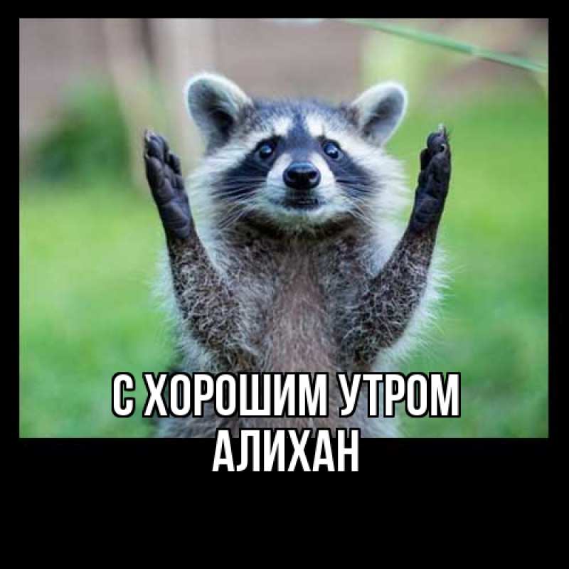 Картинка С хорошим утром, Алихан
