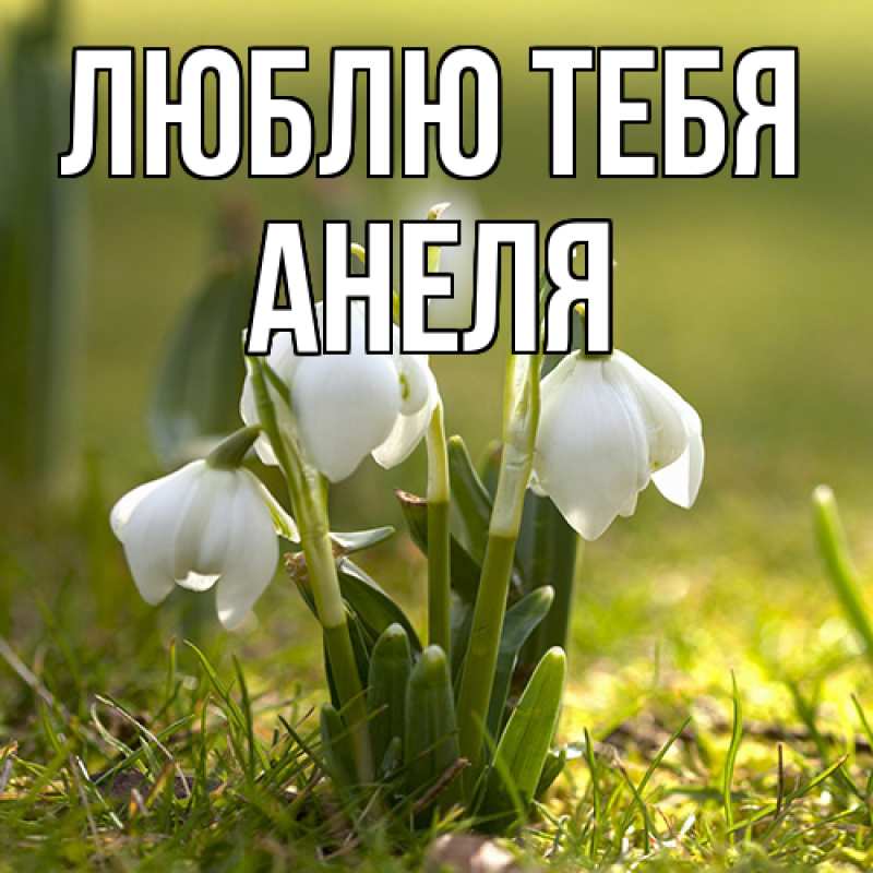Картинка Люблю тебя, Анеля