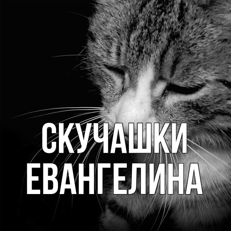 Картинка Скучашки, Евангелина