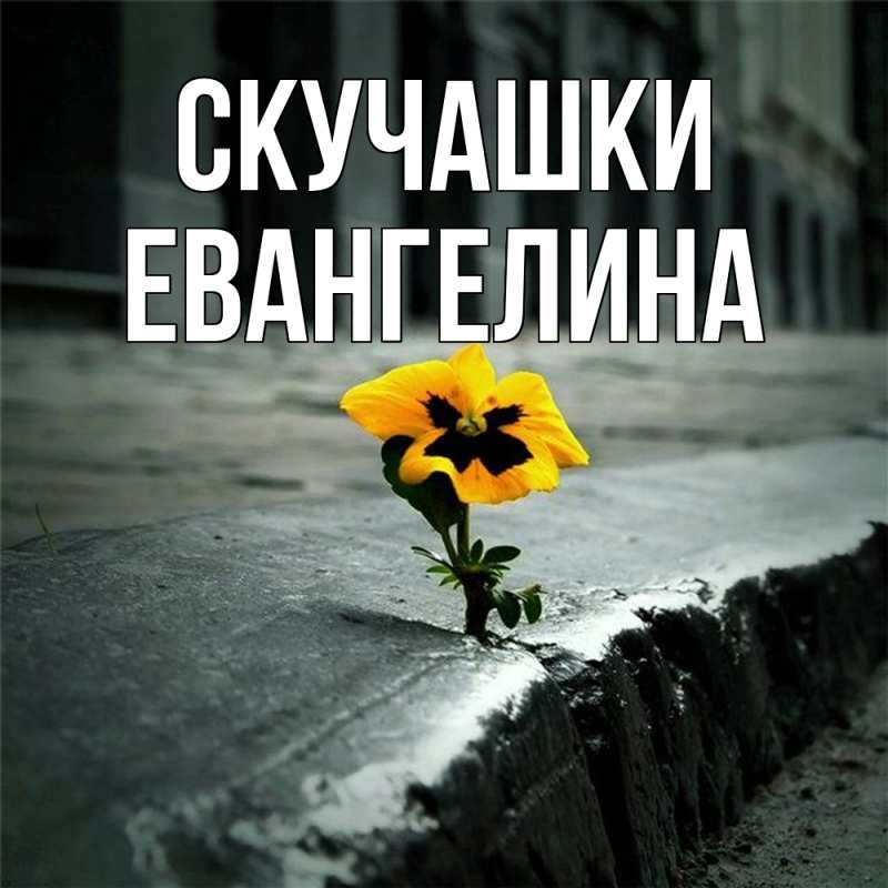 Картинка Скучашки, Евангелина