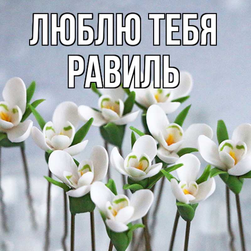 Открытка с именем, Равиль, Люблю тебя