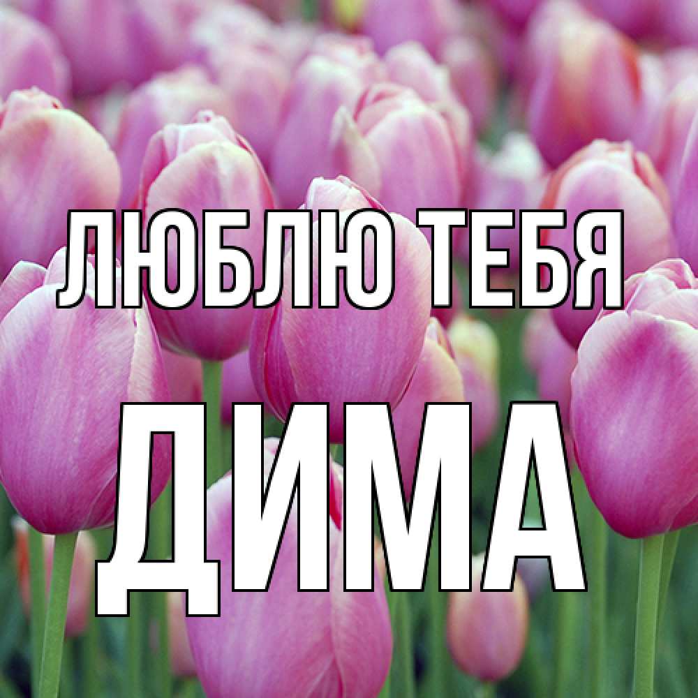 Открытка на каждый день с именем, Дима Люблю тебя на международный женский день 3 Прикольная открытка с пожеланием онлайн скачать бесплатно 