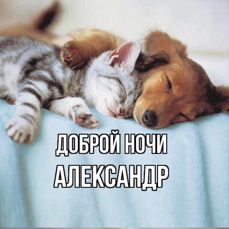 Картинка Доброй ночи, Александр