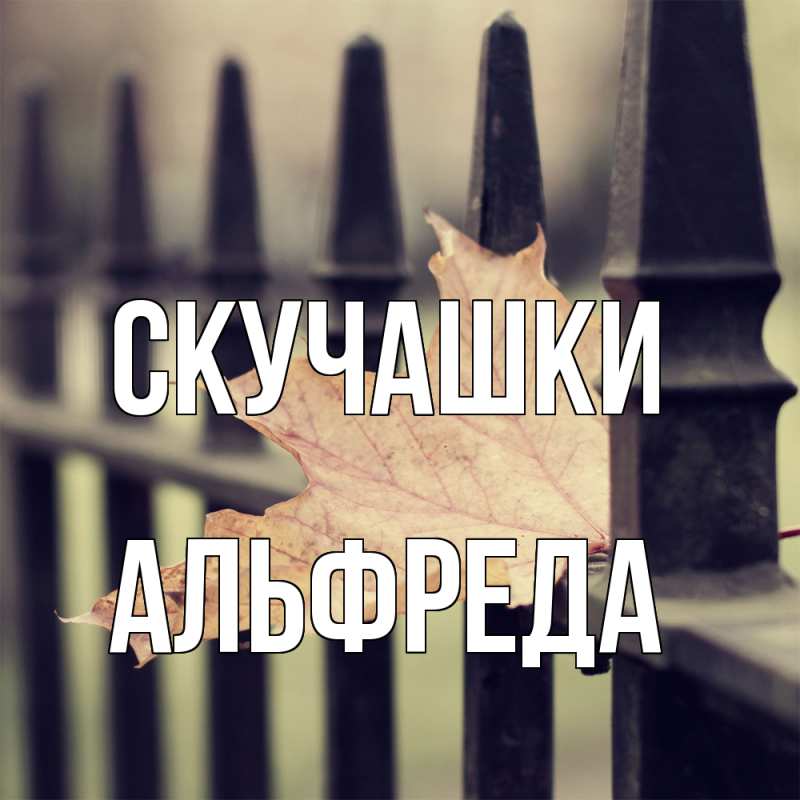 Картинка Скучашки, Альфреда