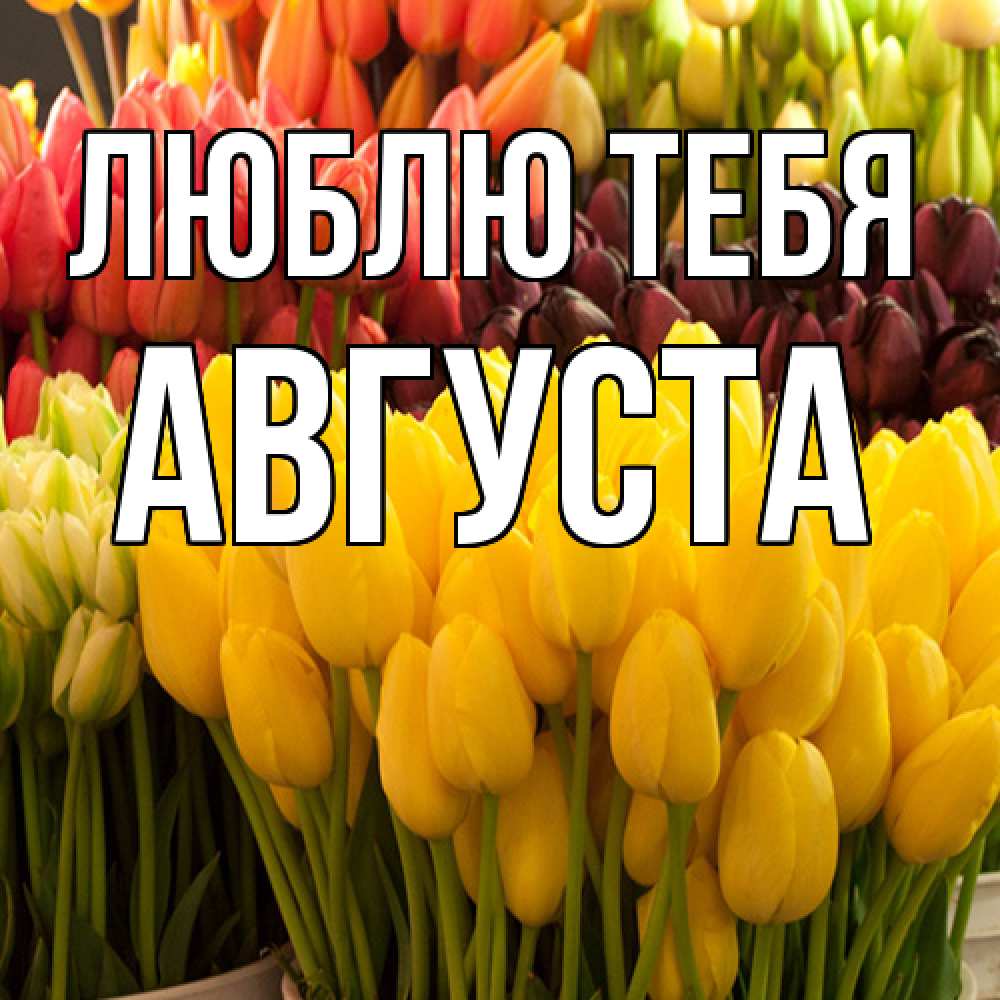 Открытка на каждый день с именем, Августа Люблю тебя цветы Прикольная открытка с пожеланием онлайн скачать бесплатно 