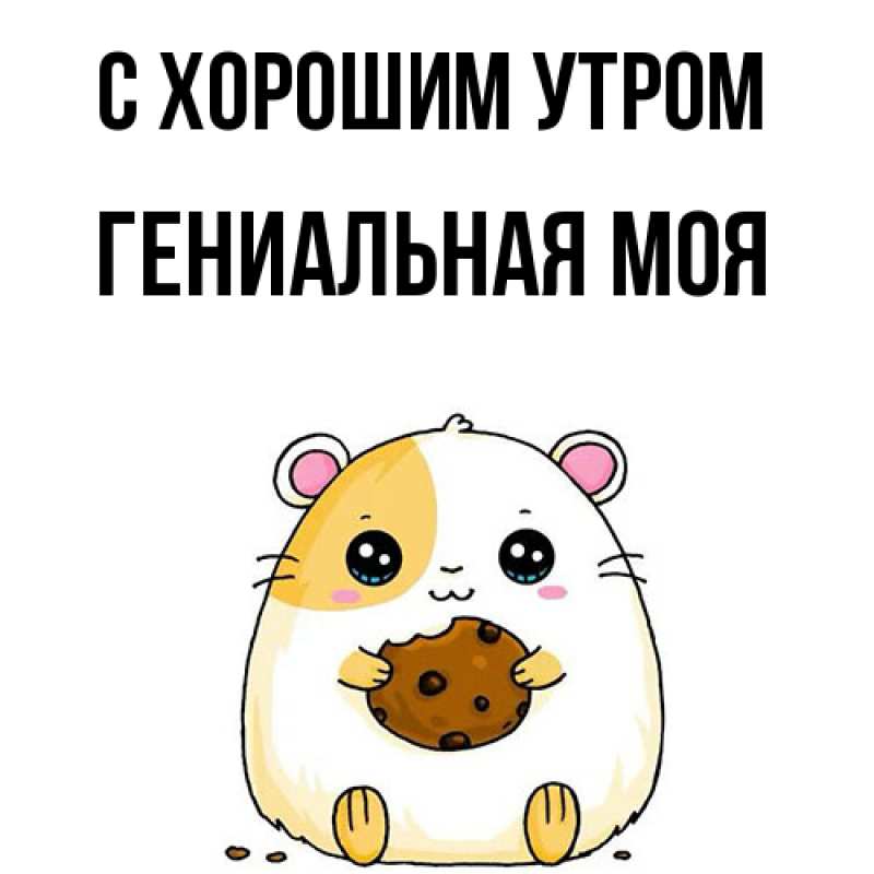 Картинка С хорошим утром, Гениальная моя