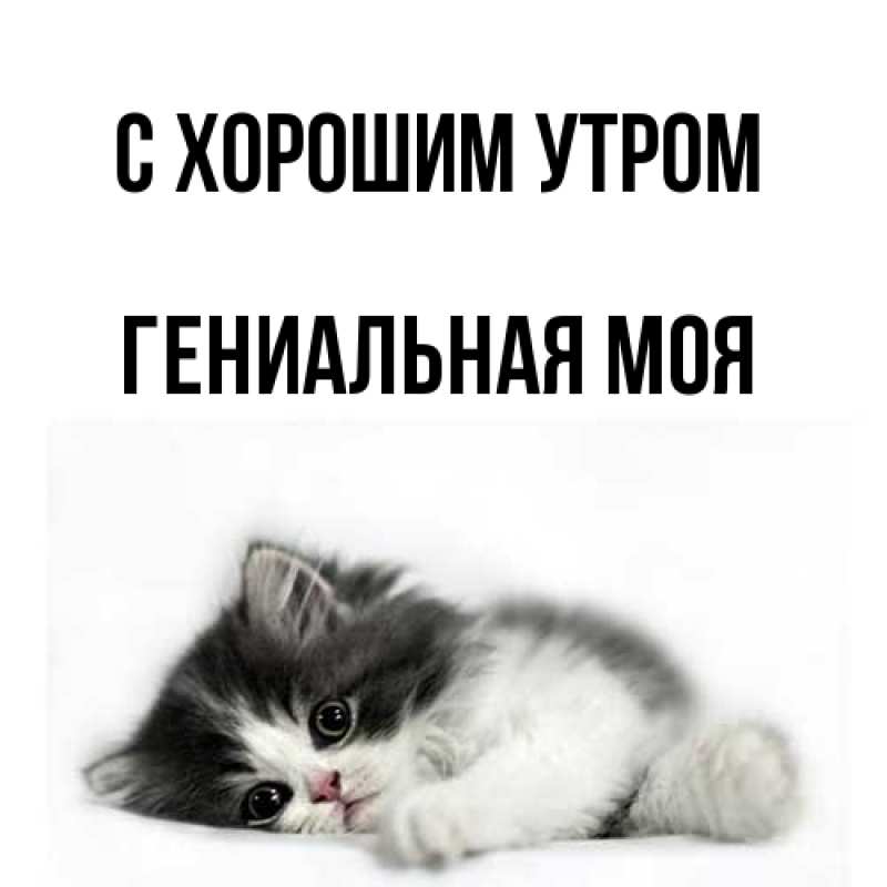 Картинка С хорошим утром, Гениальная моя