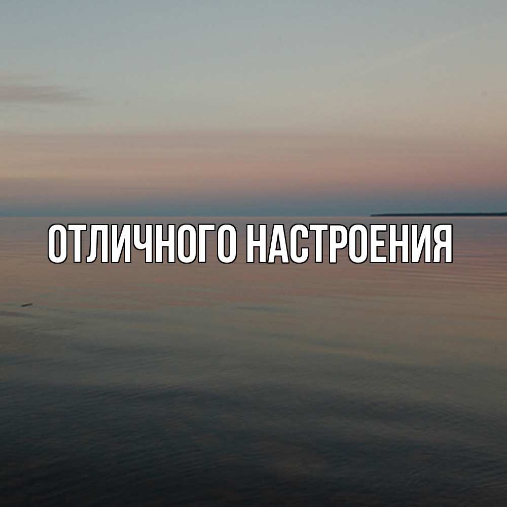 Открытка на каждый день с именем, Песподобная Скучашки пусто Прикольная открытка с пожеланием онлайн скачать бесплатно 