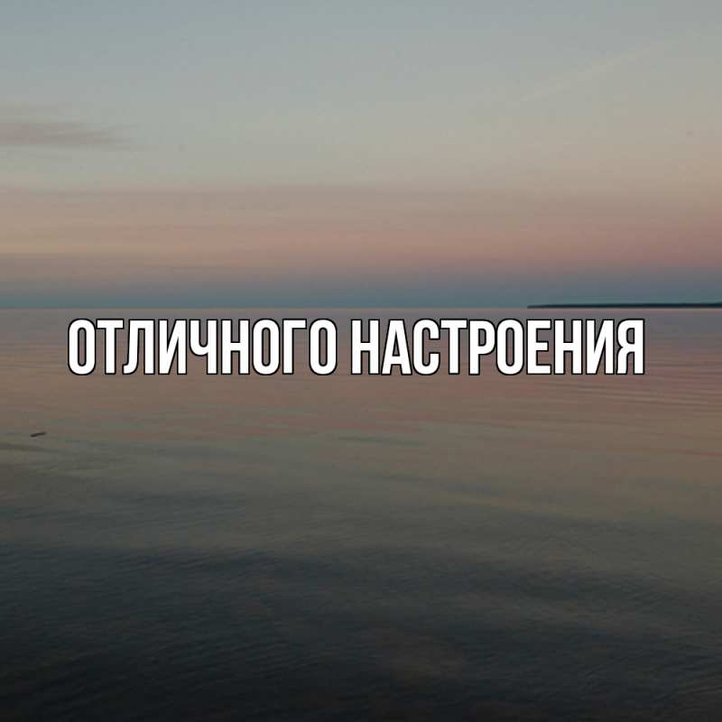 Картинка Скучашки, Песподобная